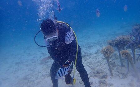 ボートで行く！ファンダイビング（2Dive）｜ダイビングレッスン ダイビングチケット ダイビング体験 沖縄ダイビング