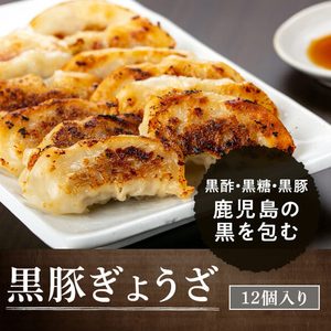 【A02046】黒豚餃子セット(12個入×10パック) 鹿児島 国産 九州産 黒豚 黒ぶた 豚肉 冷凍 餃子 ギョーザ ぎょうざ おかず 惣菜【和田養豚】