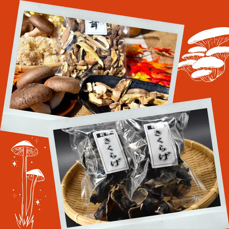 きのこ 加工品 詰め合わせ 5点 セット【茨城県共通返礼品 城里町】 惣菜 おかず きのこ 加工品 [CX004sa]
