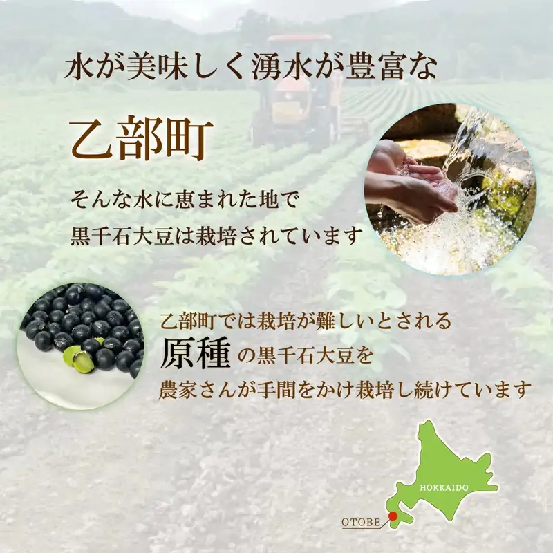 ＜サクパリッ！　1袋＞焙煎した黒千石大豆がクセになる味わい！そのまま食べてもらいたい黒千石大豆！