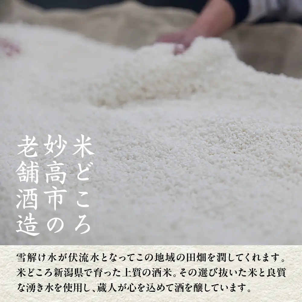 鮎正宗 厳選 純米 のみくらべセット 4本 セット 