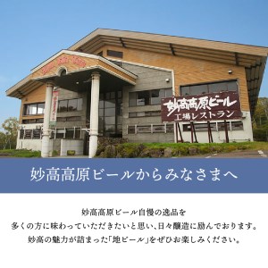 世界五大ビール審査会でトリプル受賞！妙高高原クラフトビール３種ギフトセット(500ml×12本) 定番 晩酌 地ビール 天然水 家飲み 詰め合わせ 贈り物 ギフト セット 飲み比べ お取り寄せ 酒 苦味 爽やか  妙高高原アルペンブリックビール