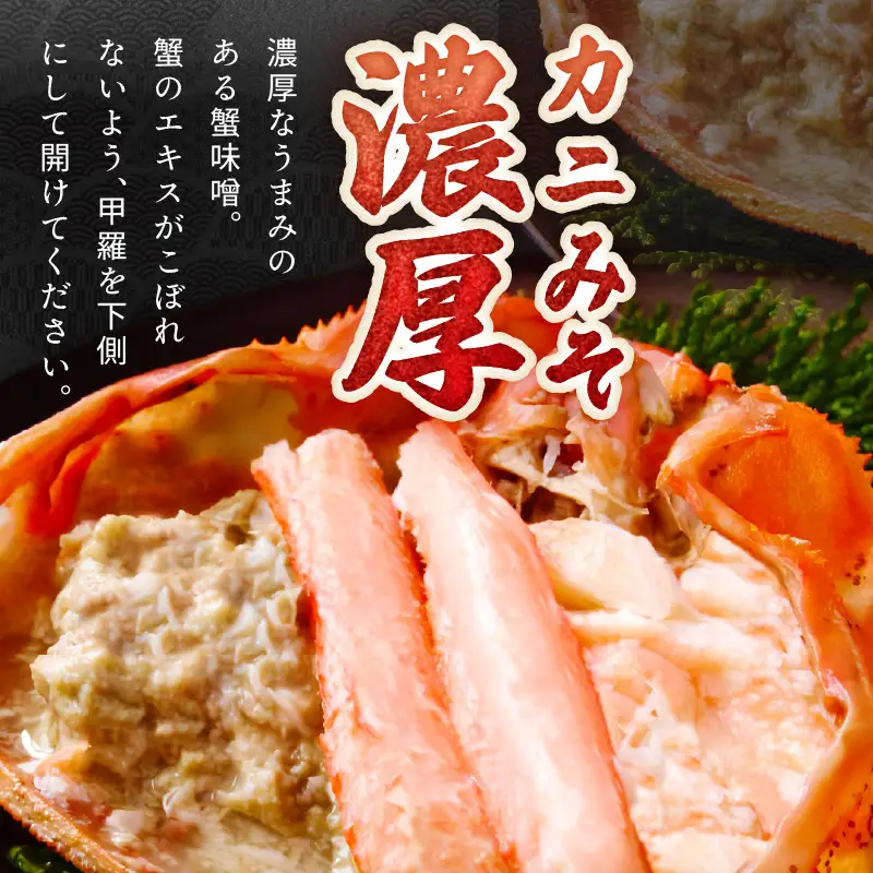 【カニ】採れたて！釜茹で！紅ズワイガニ 2杯 カニ