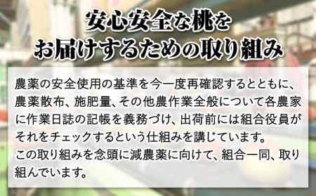 【先行予約】あら川の桃約2kg(6-8玉) あら川第一桃生産組合《2026年6月下旬から8月下旬頃出荷》｜桃 もも モモ フルーツ 果物 白鳳 清水白桃 川中島白桃  和歌山県産の桃 紀の川市の桃 和歌山の桃