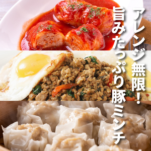 福袋 木城町 お肉いろいろお楽しみセットA K16_0069_3