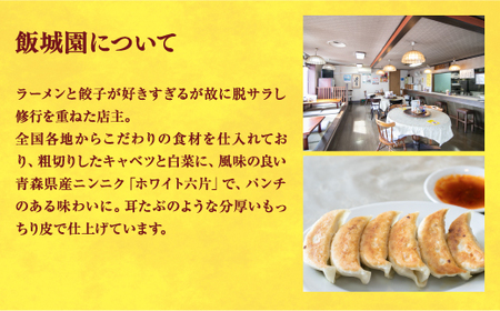 【飯城園】　餃子24個入り×2箱