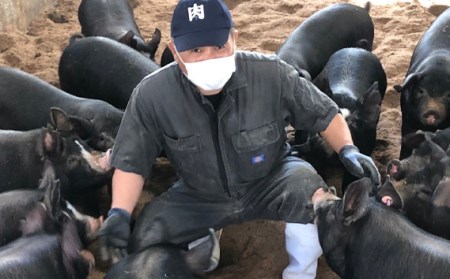 ドイツ国際コンクールIFFA受賞　伊豆天城黒豚ソーセージセット