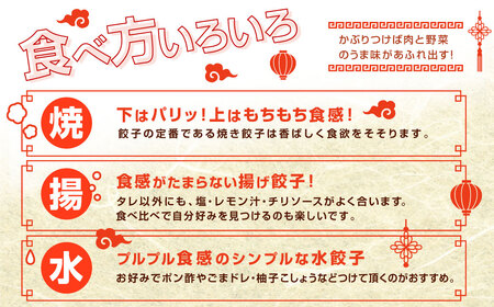＜たかなべギョーザ 80個（20個入×4袋）＞2か月以内に出荷します【TVで話題沸騰！】【c866_tk_x2】