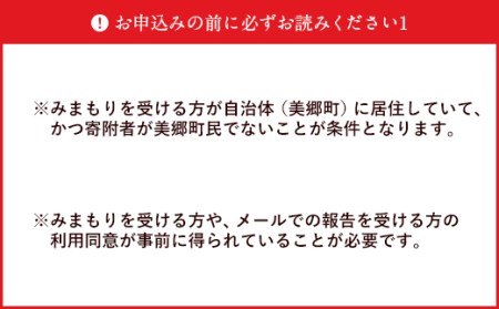 郵便局 みまもり サービス 訪問 3ヵ月 年3回 [日本郵便 宮崎県 美郷町 31bk0004]