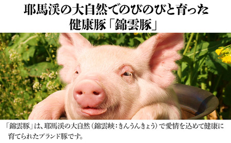 錦雲豚のとん汁セット 豚肉 しゃぶしゃぶ肉バラ・ロース各200g お味噌と柚子胡椒セット | 柚子こしょう ブランド豚 きんうんとん 大分県産 九州産 国産 大分県 中津市