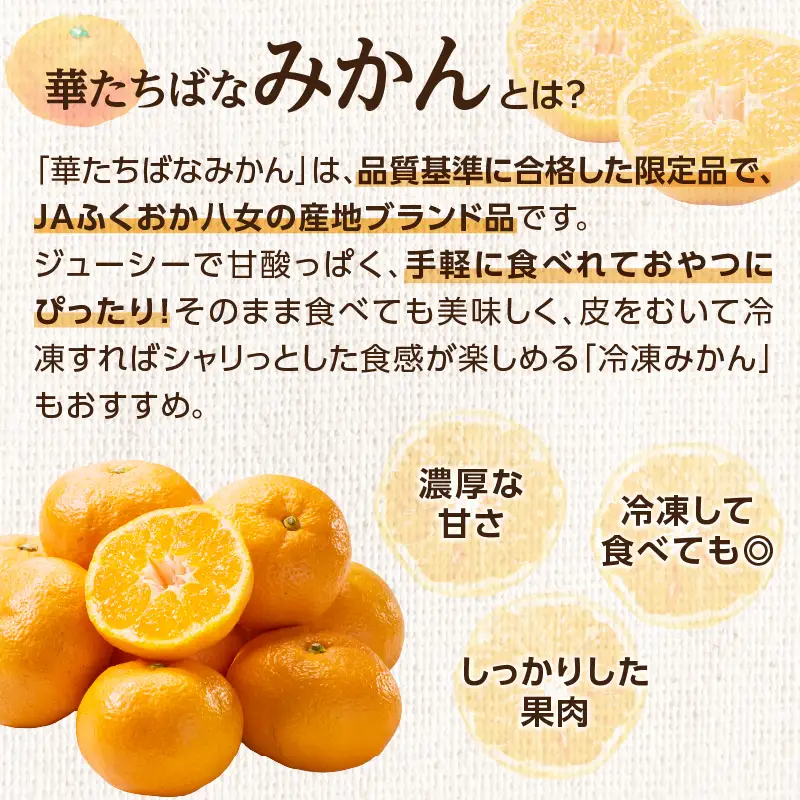 福岡人気のフルーツ定期便【全4回】ふるさと納税で人気のフルーツお届け便　JAふくおか八女からお届け！！ 梨 豊水 幸水 シャインマスカット みかん ミカン あまおう いちご 苺 イチゴ フルーツ 果物 くだもの 人気 旬 高糖度 甘い 福岡県産 アフター補償 数量限定 期間限定 産地直送 全4回 定期便 福岡県 八女市 002-T003