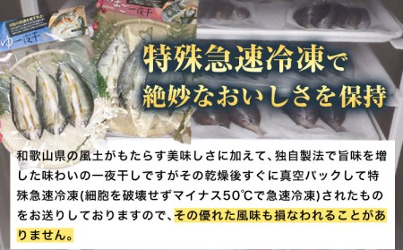 「旨いはずです。」特選あゆ一夜干しセット 13枚  干物