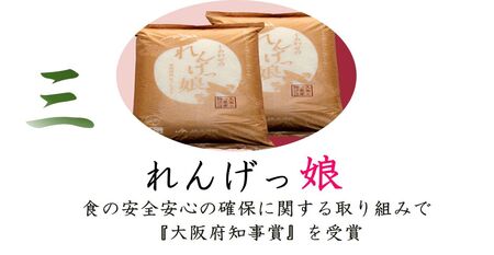 しあわせのれんげっ娘 (精米) 10kg×2｜ヒノヒカリ [1198]