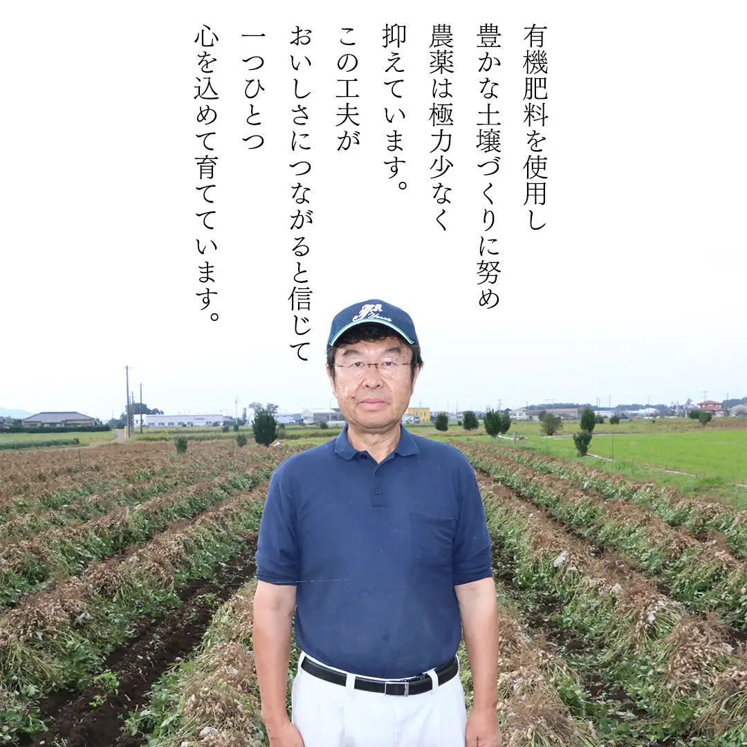 訳あり 落花生 はねだし 1kg ( 250g × 4袋 ) 国産 豆 ピーナッツ ナッツ おつまみ おやつ 茨城県産 不揃い 規格外 [BB008sa]