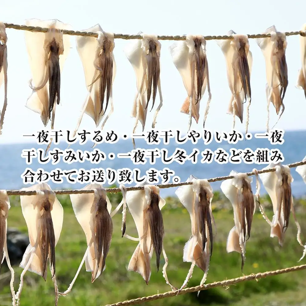 干物イカ 佐渡産 4枚 ( 1袋2枚 × 2 ) イカ