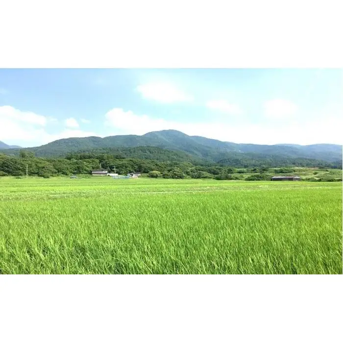 【令和7年産】佐渡高千産こしひかり2kg×2袋(精米)+しそ味噌100gセット