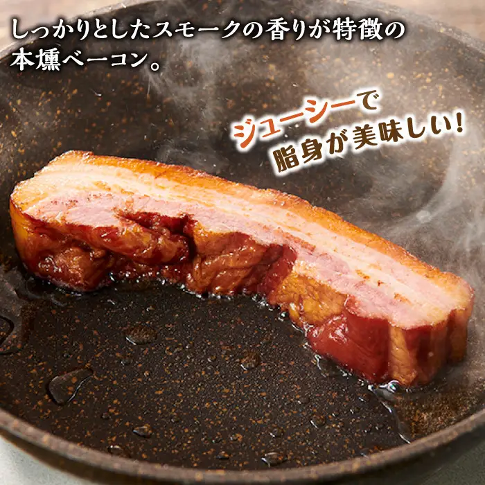 へんじんもっこ生サラミ入り厳選9種セット