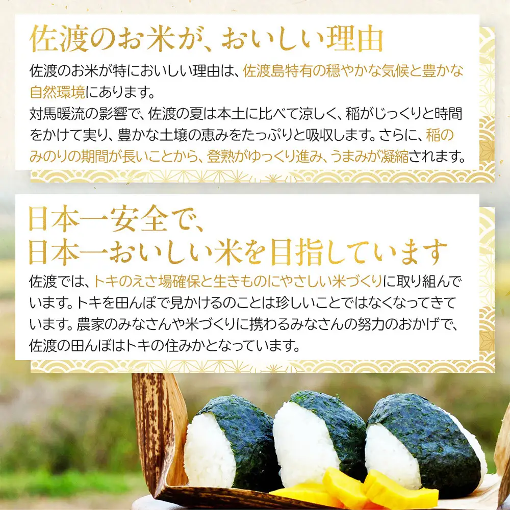 新潟米物語佐渡産コシヒカリ（10kg（5kg×2））