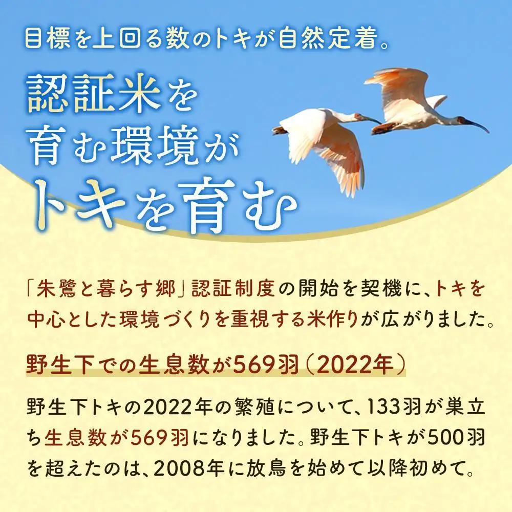 佐渡産コシヒカリ 朱鷺と暮らす郷（5kg）