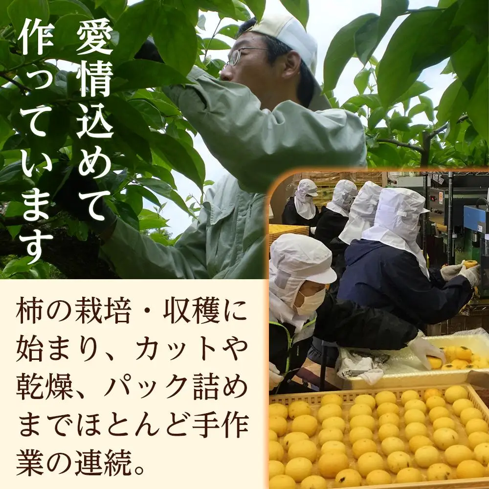 甘い柿　8パック