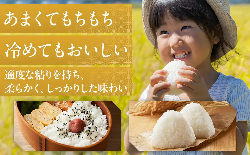 佐渡産コシヒカリ 5kg×4袋セット