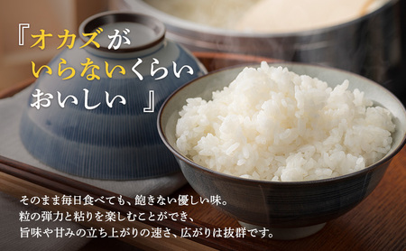 無洗米 令和7年産 いちほまれ 10kg 福井 高級ブランド米 お米 おこめ 米 コメ こめ 白米 精米 ご飯 ごはん 福井県