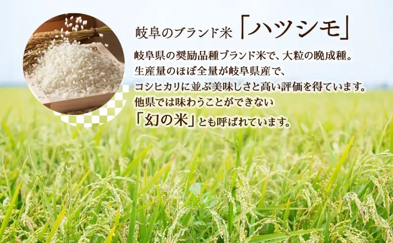 R7年産 特選米 ハツシモ 玄米 11kg ×1袋 お米 米 ごはん  ご飯 はつしも 令和7年産 ブランド米 低農薬 お取り寄せ 産地直送 クリーンファームまき 送料無料 岐阜県 安八町