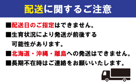 【2026年6月下旬より発送】  桃 特秀品 約4kg 12～16玉 桃 もも