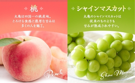 旬のフルーツ詰合せ 丸亀讃美果 季節のフルーツ 果物