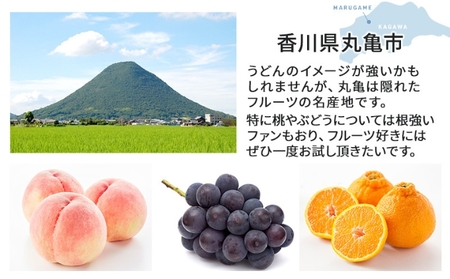 【全6回】フルーツ 定期便 いいとこどり定期便 桃 マスカット