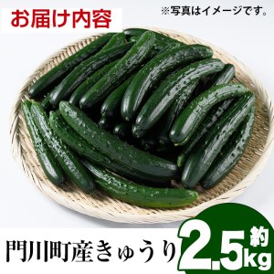宮崎県産きゅうり(2.5kg)野菜 やさい サラダ 胡瓜 漬物 キムチ 冷蔵【NS-2】【中澤農園】