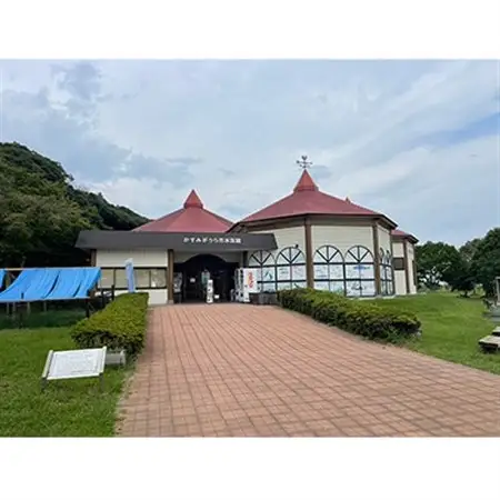 かすみがうら市水族館入館ご優待券とオリジナルTシャツ＆ハンカチ_雑貨・日用品 タオル    装飾品・工芸品 洋服    旅行券・チケット 水族館 入場券・優待券 _【1394568】