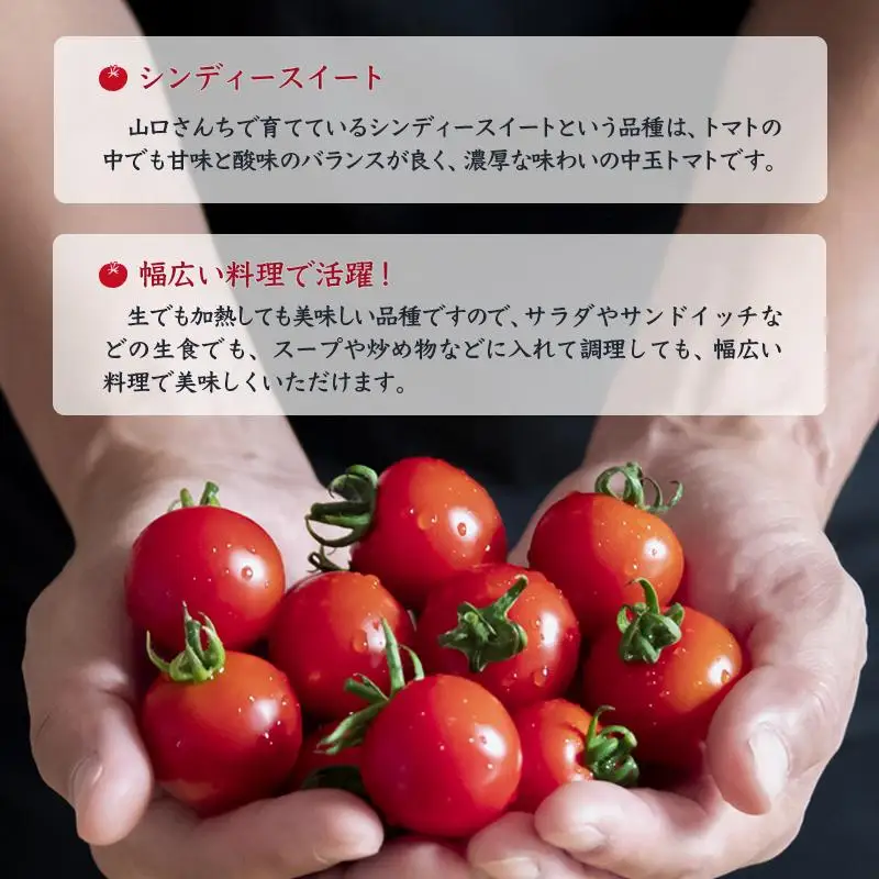 山口さんちの中玉トマト 約2kg シンディースイート 宮崎県西都市産とまと【先行予約】＜2-8a＞★