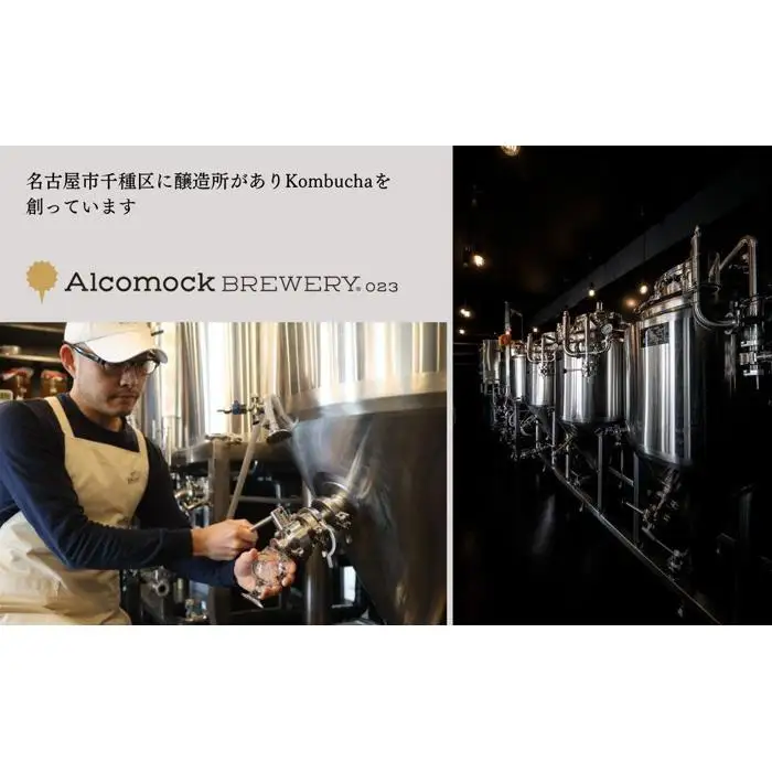 美味しく楽しめる！+KombuchaのKombucha　4本セット