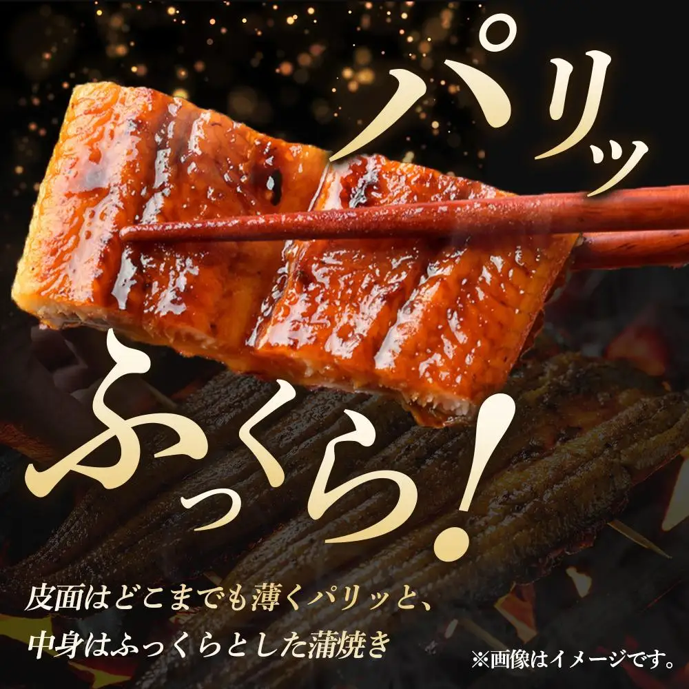 小川菊のうなぎの蒲焼き 2尾分 ／ 鰻 ウナギ 埼玉県
