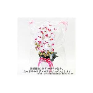 造花 シルクフラワーの胡蝶蘭の鉢植 5本立 CT触媒 ホワイトイエロー ／ お花 コチョウラン 埼玉県