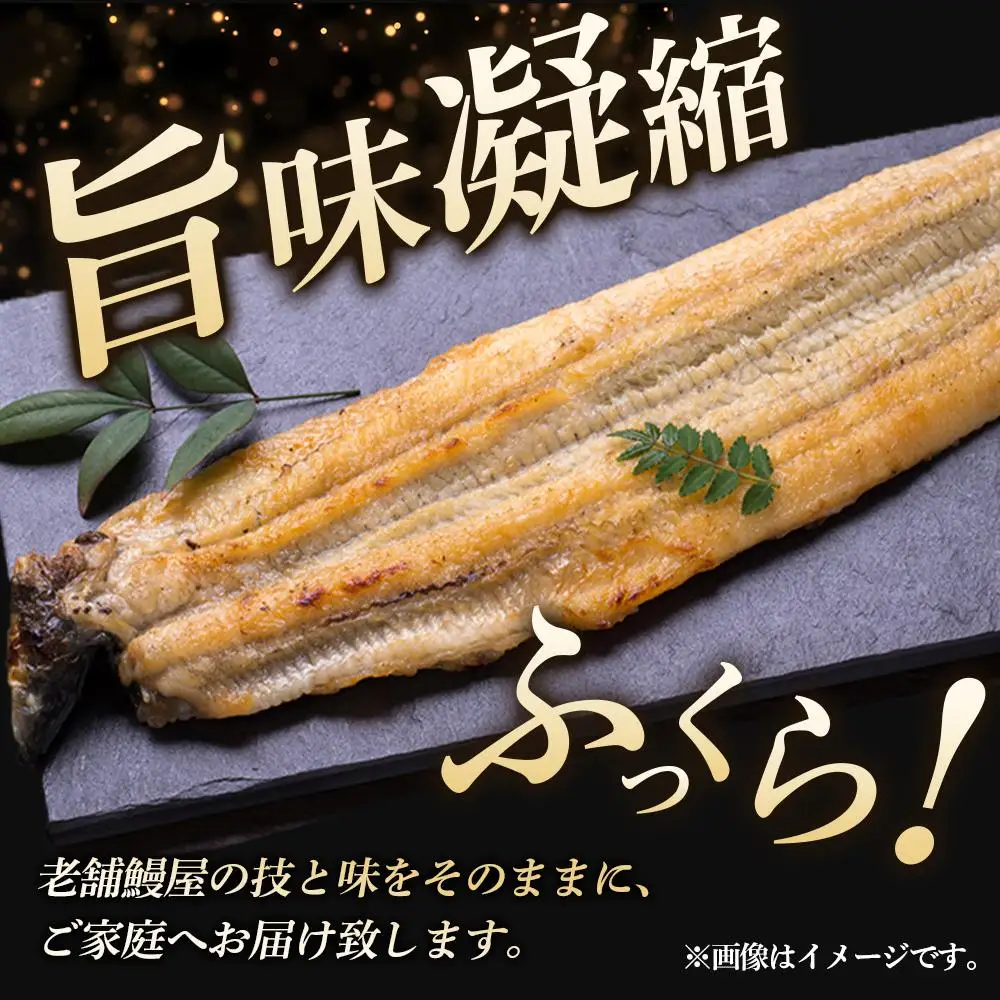 小川菊のうなぎの白焼き 4尾分 ／ 鰻 ウナギ 埼玉県