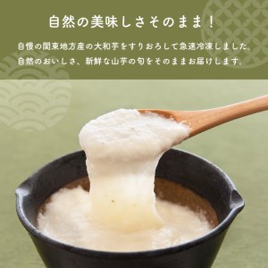 本とろろ大和芋 (冷凍) 2kg 