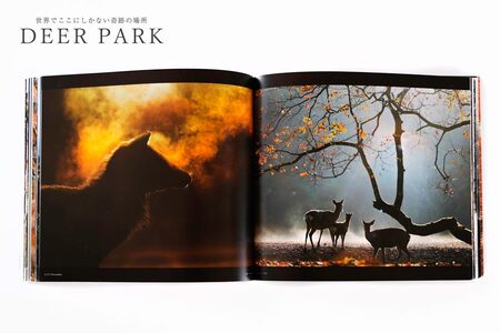 奈良の鹿 写真集「DEER PARK 世界でここにしかない奇跡の場所」奈良公園 サイン入り KAZUTO PHOTO OFFICE 佐藤和斗 I-193