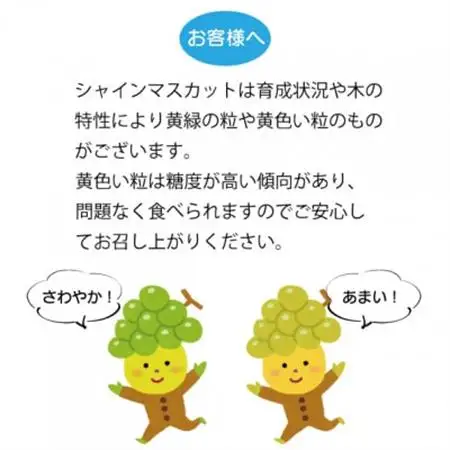【2026年発送】シャインマスカット2房 (計1kg程度) 生産者直送 ! 山梨市万力産_甘いシャインマスカット あまいシャインマスカット 美味しいシャインマスカット おいしいシャインマスカット 人気のシャインマスカット_【配送不可地域：離島】【1227218】