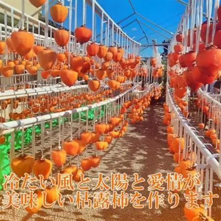 【農福連携】おひさまたっぷり手作り枯露柿(ころ柿)(1箱12個入)12月から発送!【山梨市産干し柿】【1271104】