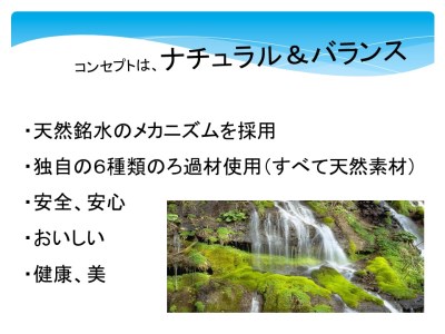 【高性能浄活水器】Naturalizer 煌水(ナチュラライザーきらめき)～ビルトインタイプ～