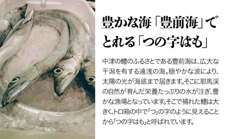 鱧かまぼこ はもさま 3本入り | 丸善かまぼこ店 と 割烹丸清 との コラボ商品 かまぼこ  はも ハモ 鱧 蒲鉾 練り物 手作り 手づくり 惣菜 和風惣菜 魚 加工品 3本 セット おかず 国産 大分県 中津市