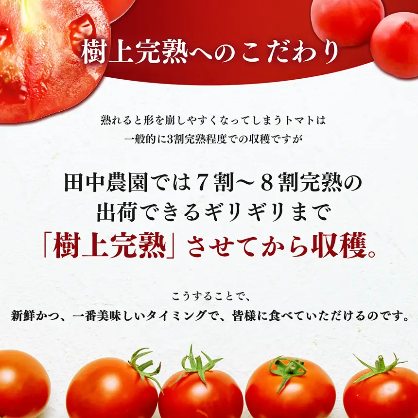 トマト約4kg 23玉～25玉   | ヤサイ 野菜 やさい トマト とまと 野菜 大玉 | 奈良県 五條市