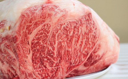 【峯村牛】生ハンバーグ5個セット