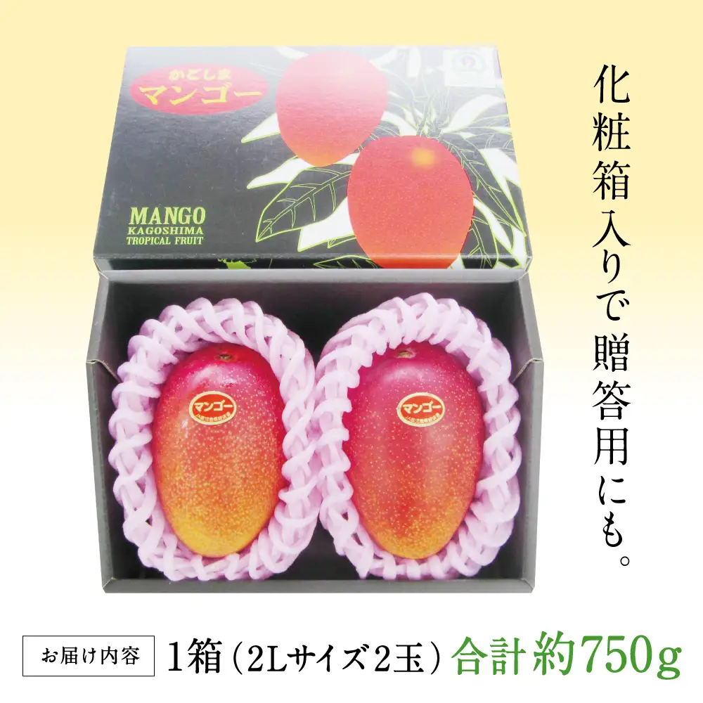 鹿児島県産 完熟マンゴー 2Lサイズ 2玉（化粧箱入り）［数量・期間 限定 ］ 先行予約 先行受付 マンゴー 完熟マンゴー トロピカルフルーツ 完熟 芳醇 国産 果実 果物 くだもの フルーツ 果肉 果汁 食品 デザート スイーツ おやつ 甘い ジューシー 旬 夏 季節限定 季節の果物 南国フルーツ 南国 おすすめ 高級 ご褒美 贅沢 グルメ 冷蔵 JAさつま日置 鹿児島 鹿児島県 南さつま市