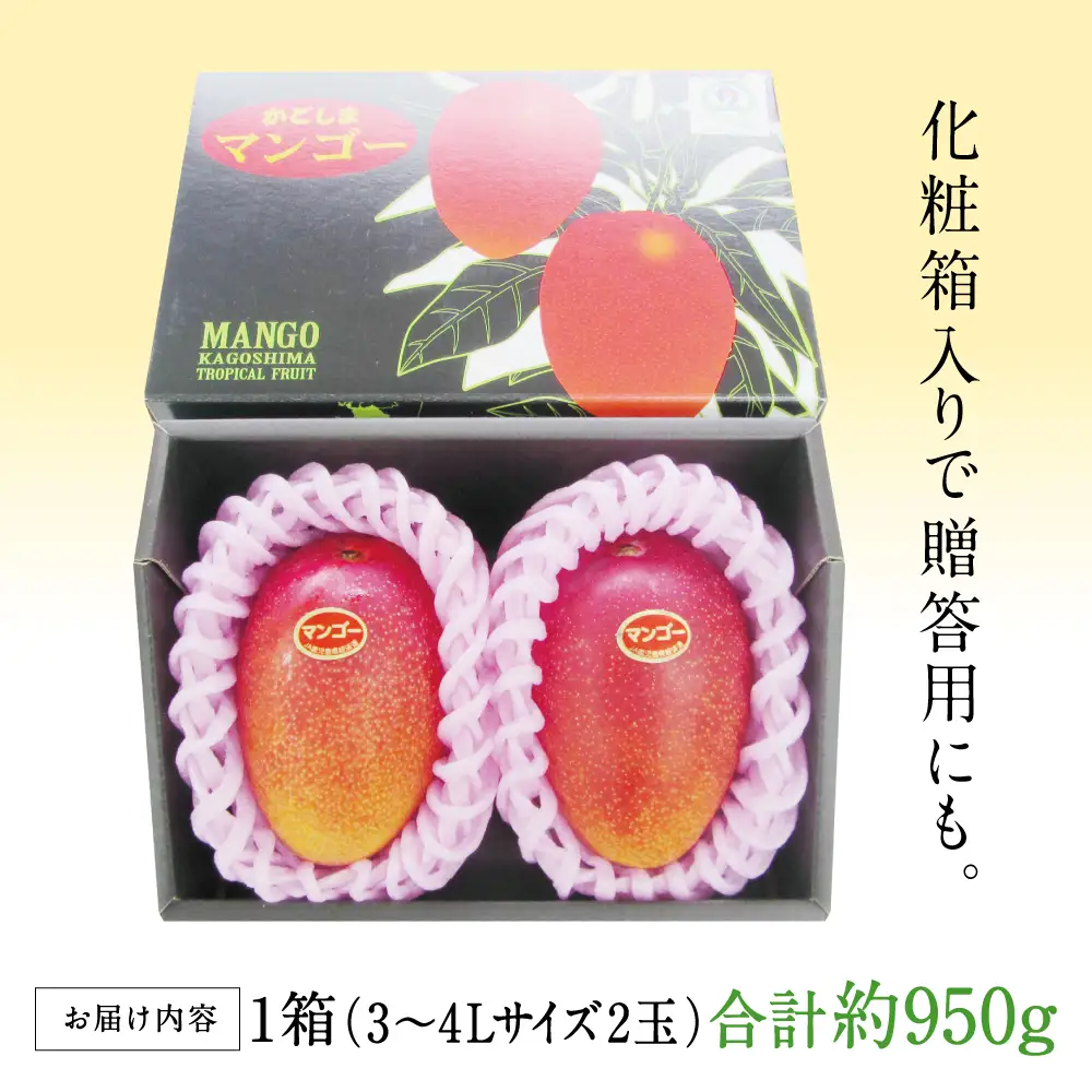 鹿児島県産 完熟マンゴー 3～4Lサイズ 2玉（化粧箱入り）［数量・期間 限定 ］マンゴー 完熟マンゴー トロピカルフルーツ 完熟 芳醇 国産 果実 果物 くだもの フルーツ 果肉 果汁 食品 デザート スイーツ おやつ 甘い ジューシー 旬 夏 季節限定 季節の果物 南国フルーツ 南国 おすすめ 高級 ご褒美 贅沢 グルメ 冷蔵 JAさつま日置 鹿児島 鹿児島県 南さつま市