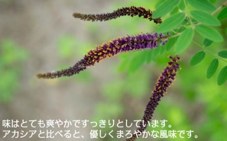 はちみつ 国産 イタチハギはちみつ 300ｇ