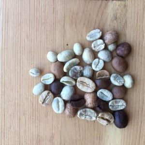 ー庭づくりと珈琲豆屋 BUNANOKIー自家焙煎珈琲豆オリジナルブレンド3種【豆のまま】 [h209]