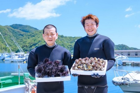 (10027)さざえ サザエ さざえの瓶詰め 瓶詰め 栄螺 4本セット 25g 刺身 味付 長門市